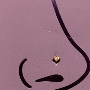 Ex. Small 14K Gold Nose Stud Screw Style